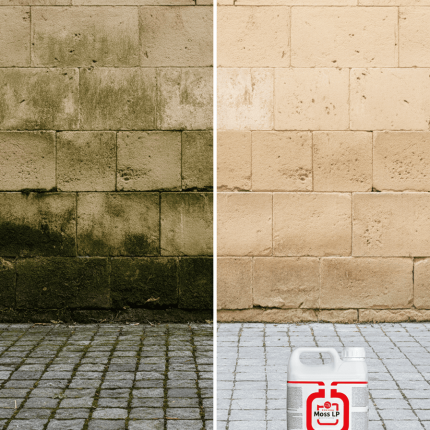 Curățare mușchi și alge de pe pavaj cu soluție profesională MOSS LP