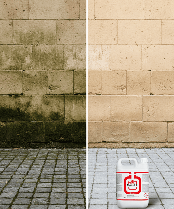 Curățare mușchi și alge de pe pavaj cu soluție profesională MOSS LP