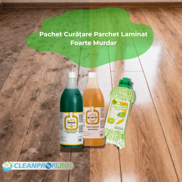 pachet curățare parchet laminat foarte murdar Ammon Wood TR CleanProfi