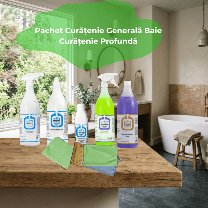 pachet curățenie generală baie produse profesionale CleanProfi