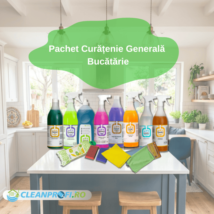 pachet curățenie generală bucătărie produse profesionale CleanProfi
